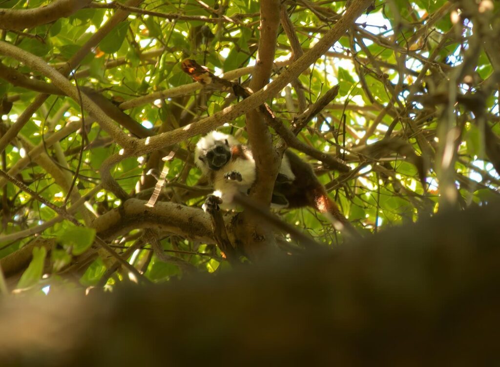 Instagram post from bling.blank. This post is in position 1.